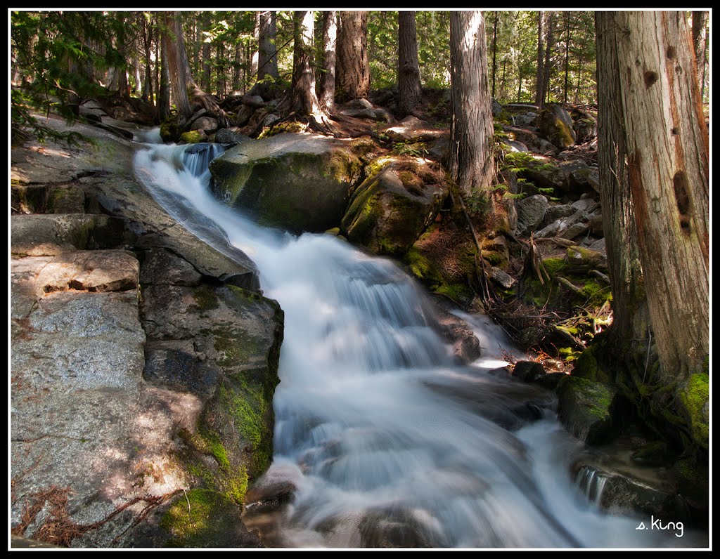 Silver Falls Creek by S. King