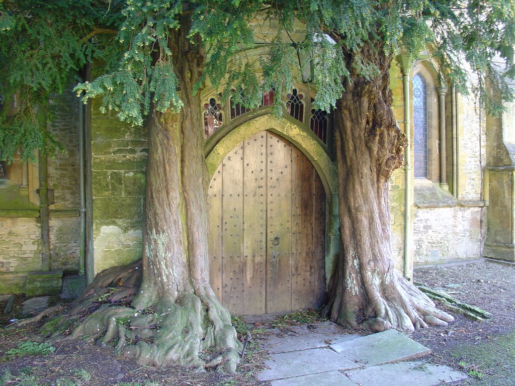 Yew trees and door, St Edward's, Stow on the Wold by KevinNoles