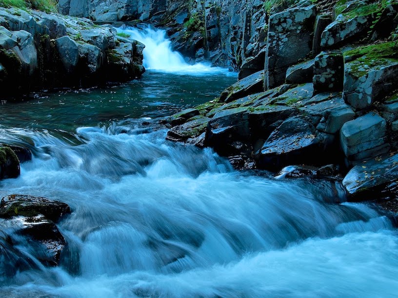 Torrent by tsushima