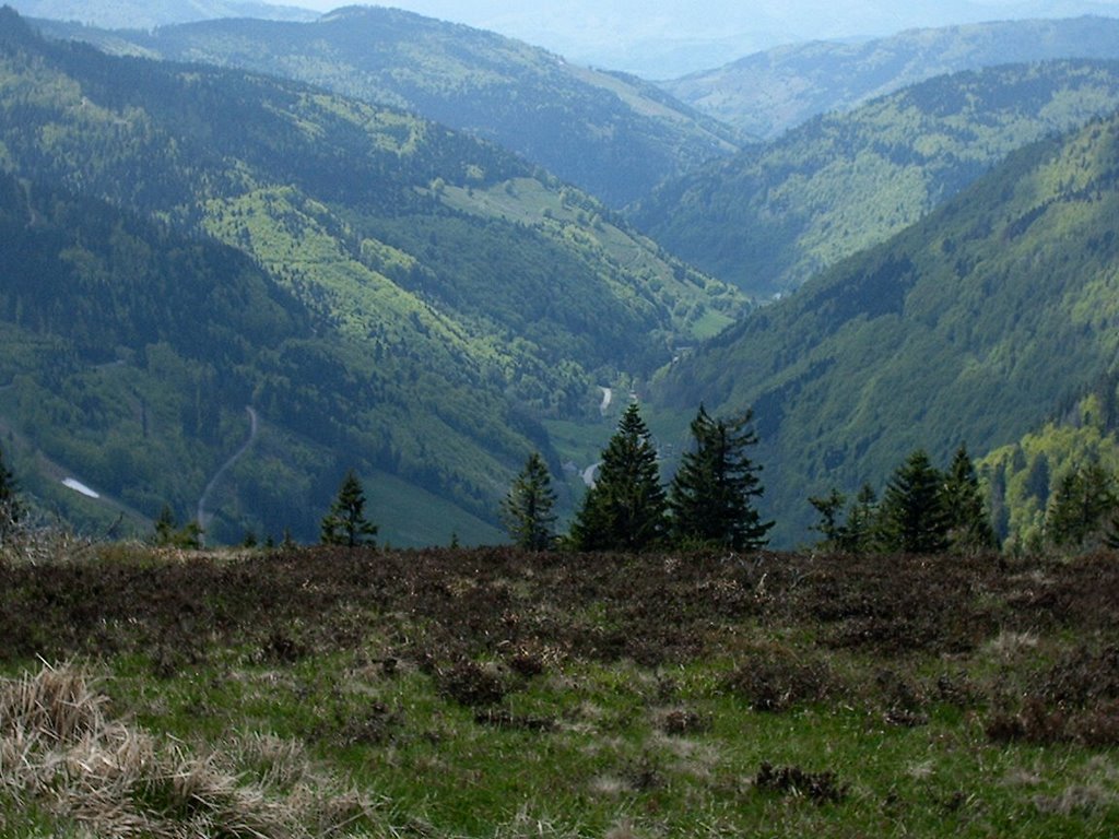 Feldberg Blick nach Westen by oleg.f