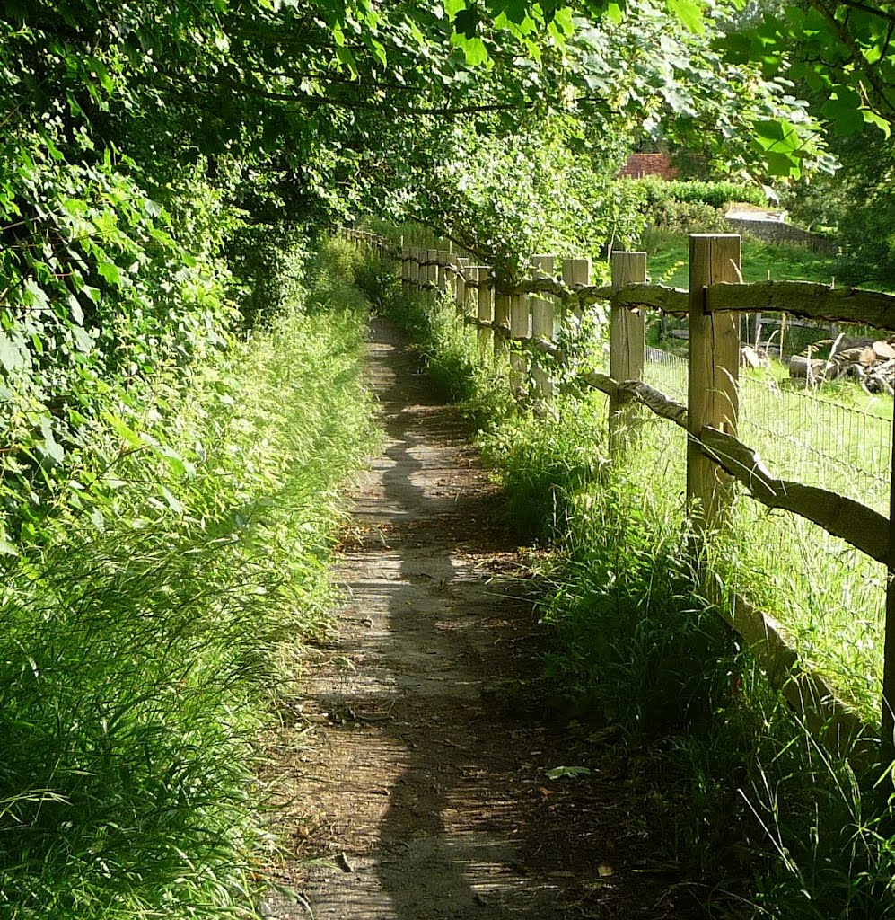 Footpath to the Youth Hostel by Immanuel Giel