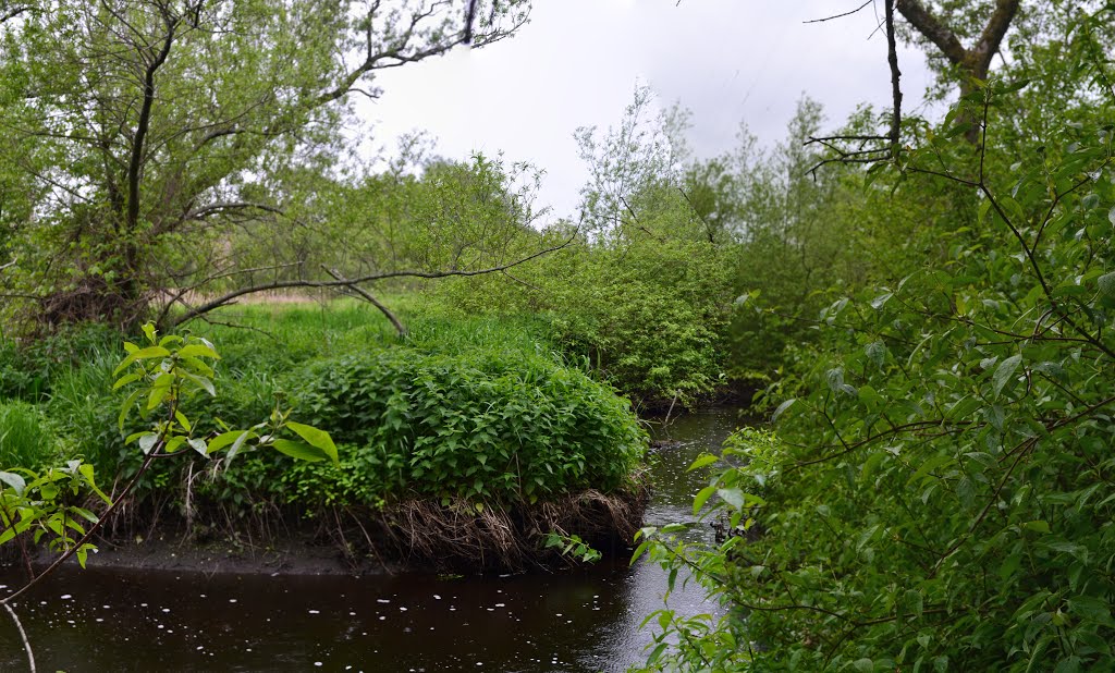 Beaver Brook Reservation by weirdpix