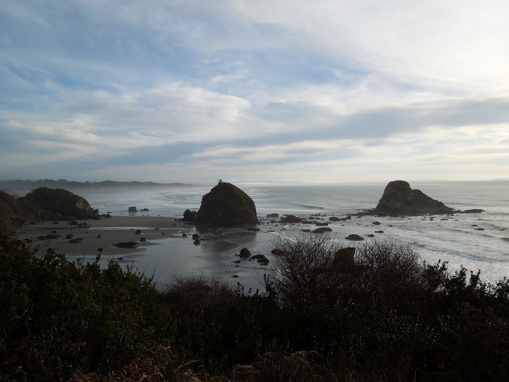 Luffenholtz Beach by Shain Paiment