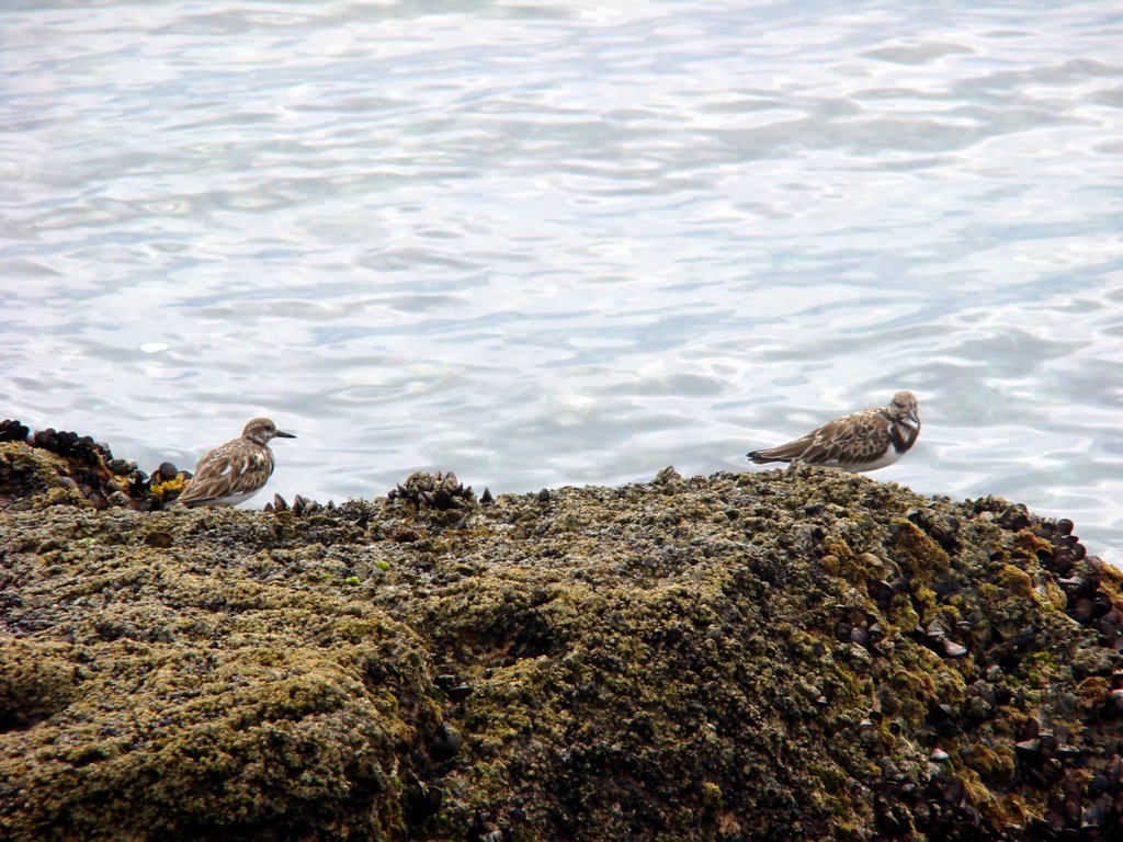 Enseada Azul - Guarapari by E Assad (Massad)