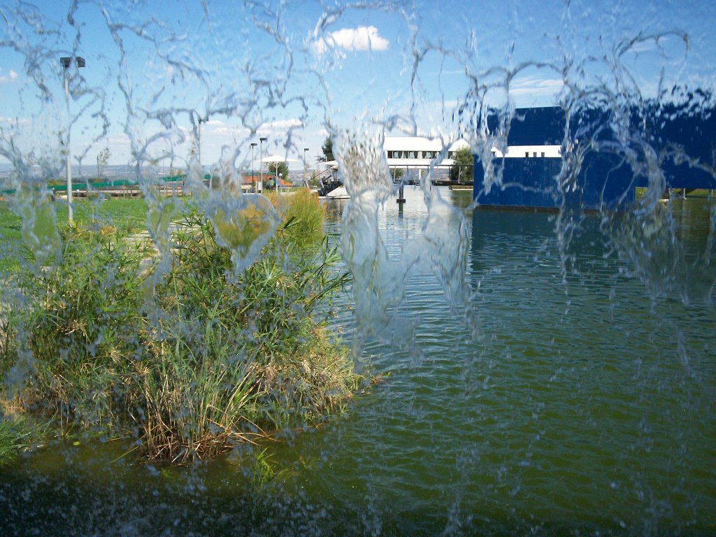 Jardim Do Lago- Espelho de agua by Jorge Amaral