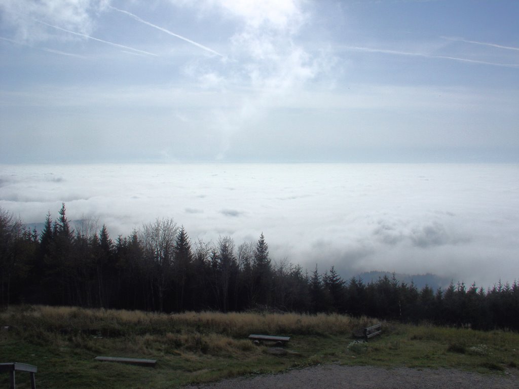 Deutschland_Baden-Württemberg_Schwarzwald_Hochblauen, 1165 m.ü.d.M. by © ELMOKULA