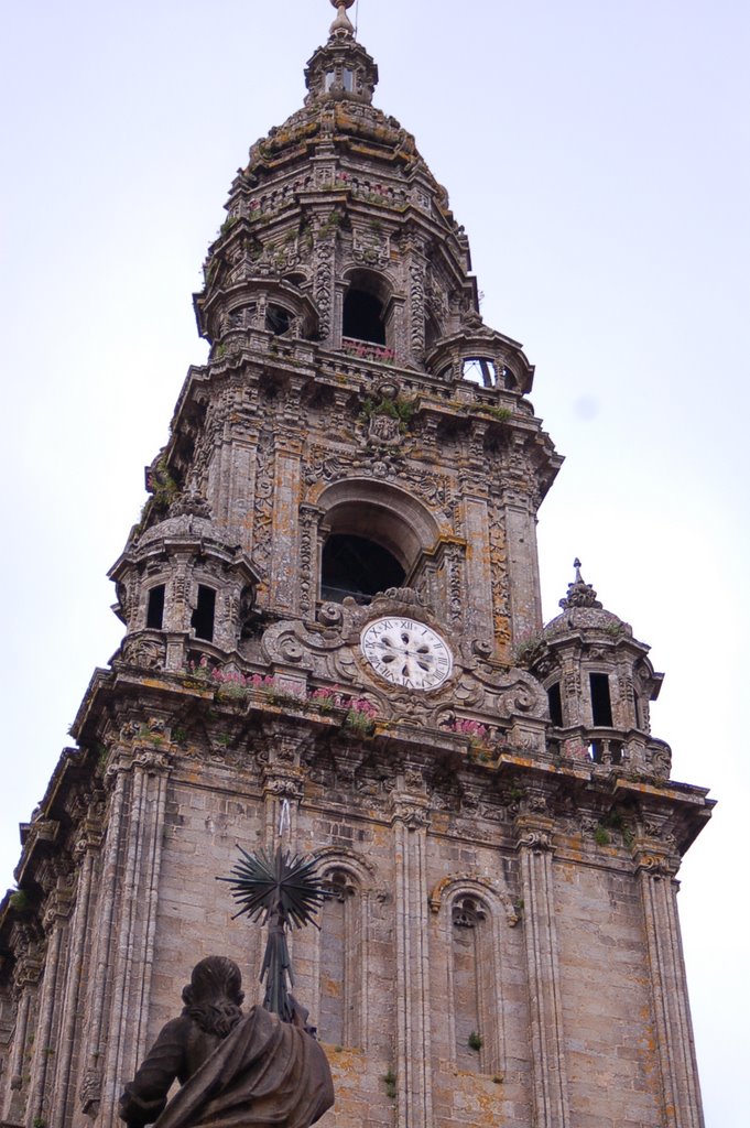 Santiago detalle catedral by Paco de jesus pareja