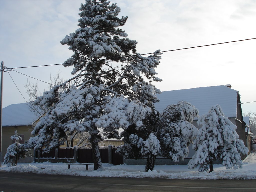 Valpovačka, street by Chamil