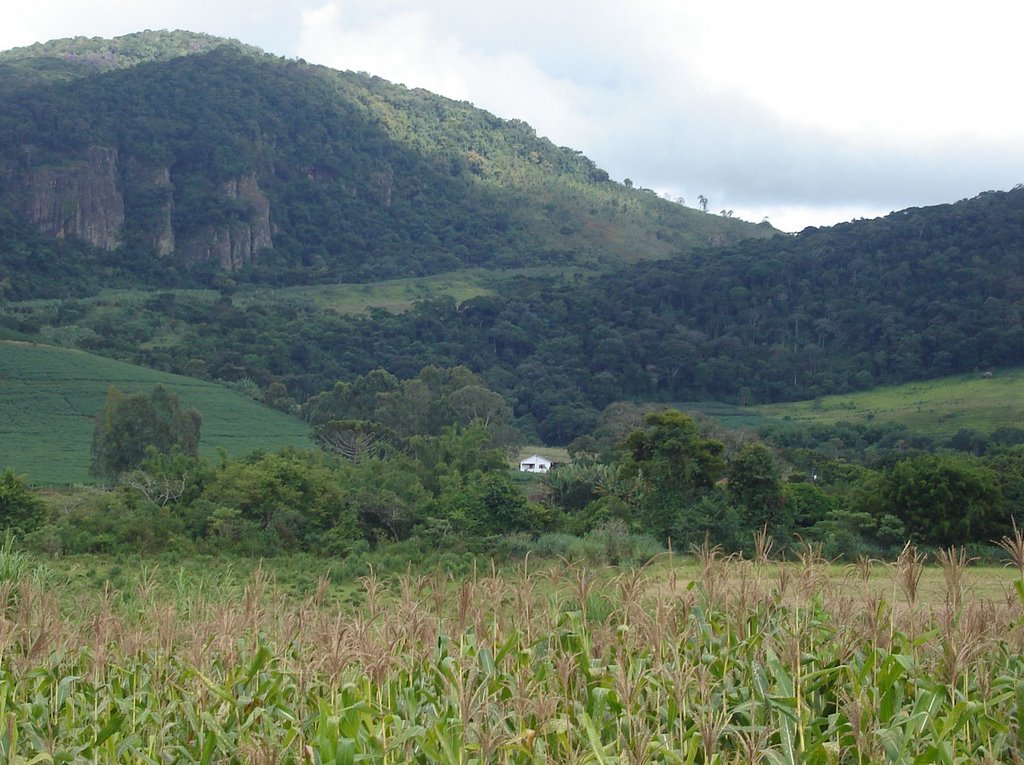 Romao's Farm by romao_rrn