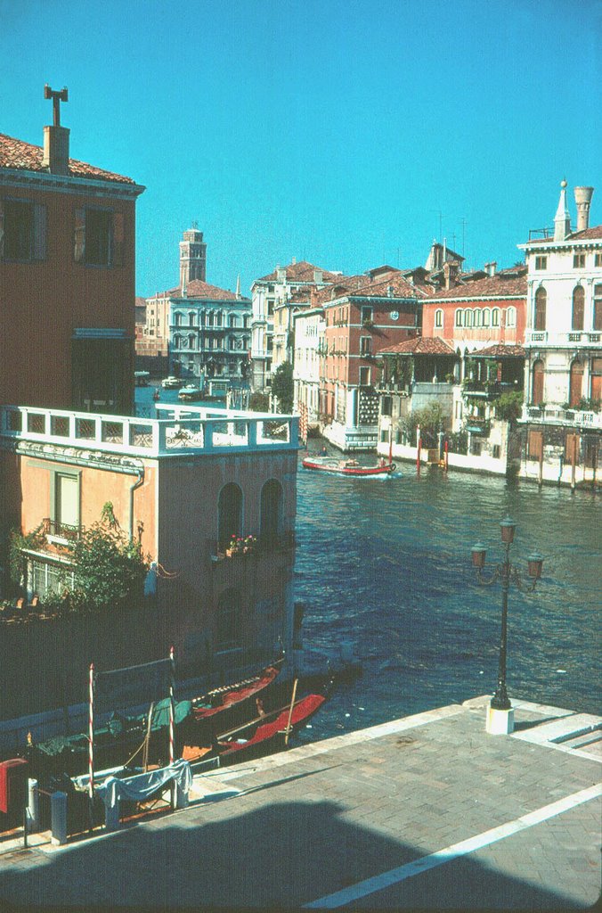 Italia, Venecia, Gran Canal by laura milani