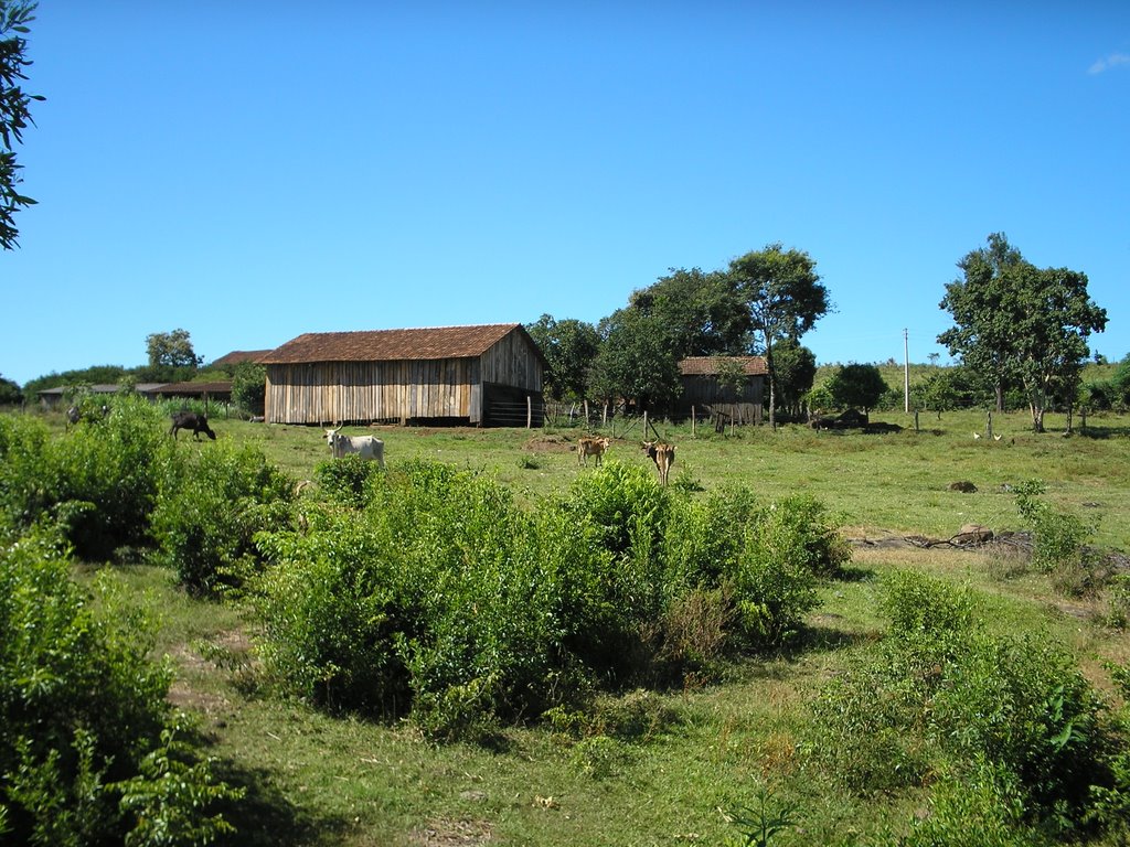 Alpestre - RS, Brazil by Fernando Quesada