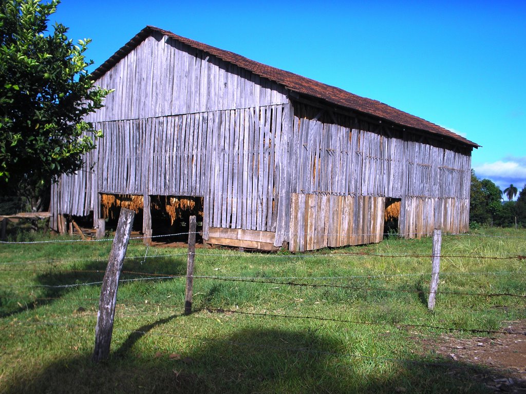 Alpestre - RS, Brazil by Fernando Quesada