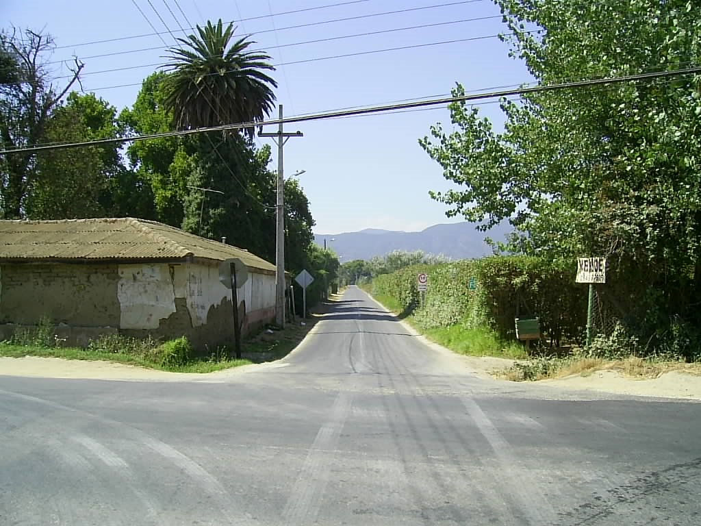 Ruta F-632. Los Leones, Limache. by Gerald Foxon