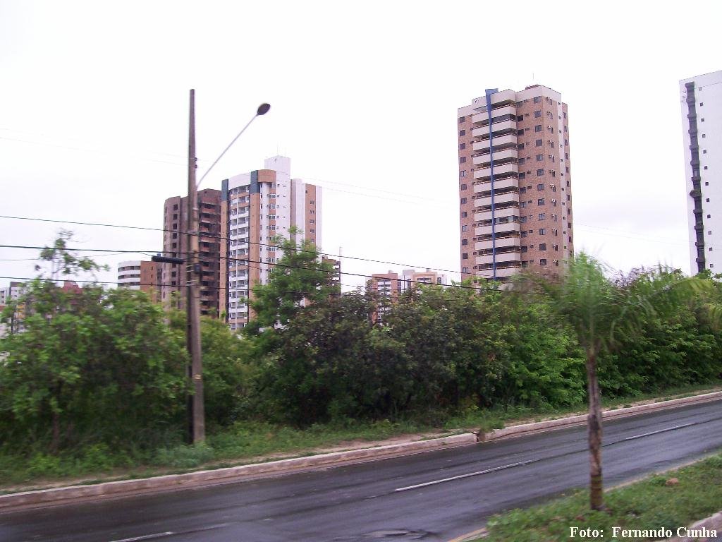 AVENIDA DOS HOLANDESES by Fernando Cunha