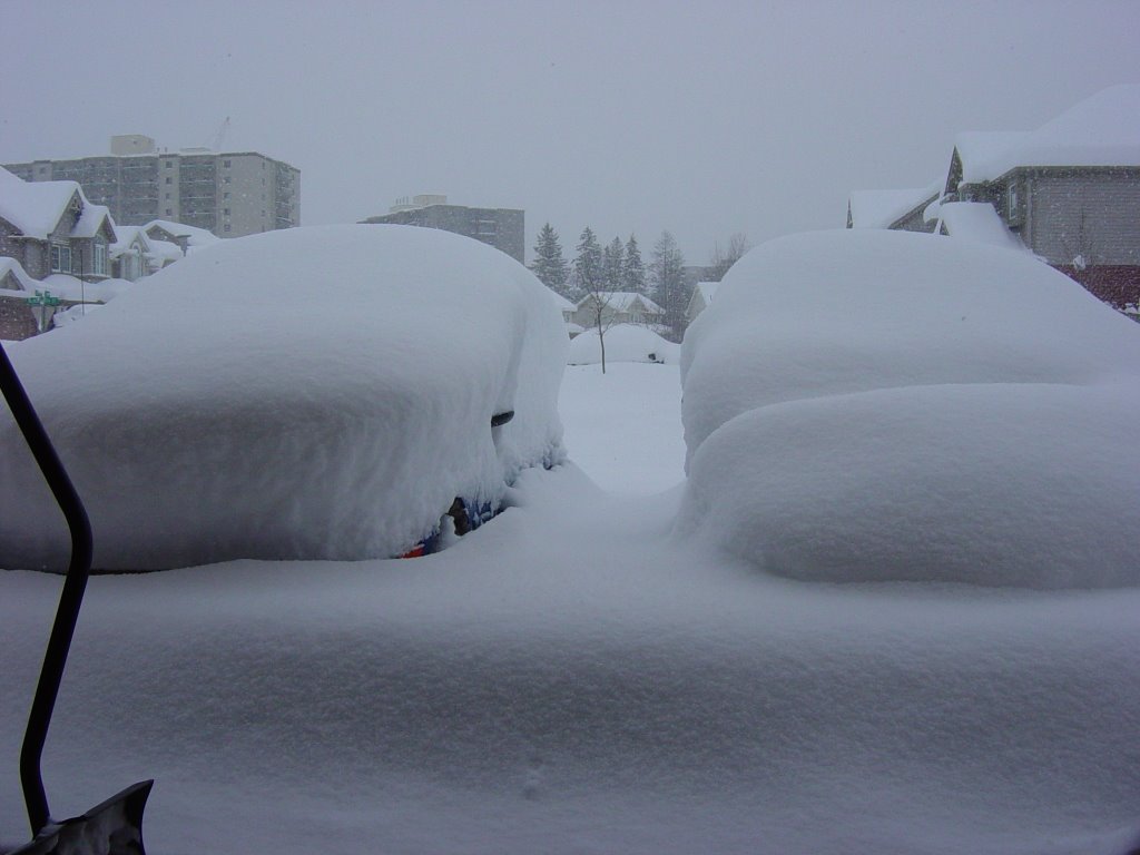 Blizzard 12/8/06 4ft snow by rwbradley