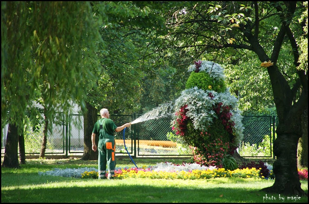 GLIWICE. Poranny prysznic przed upalnym dniem/The morning shower before a hot day by Krystyna Koch-magie*