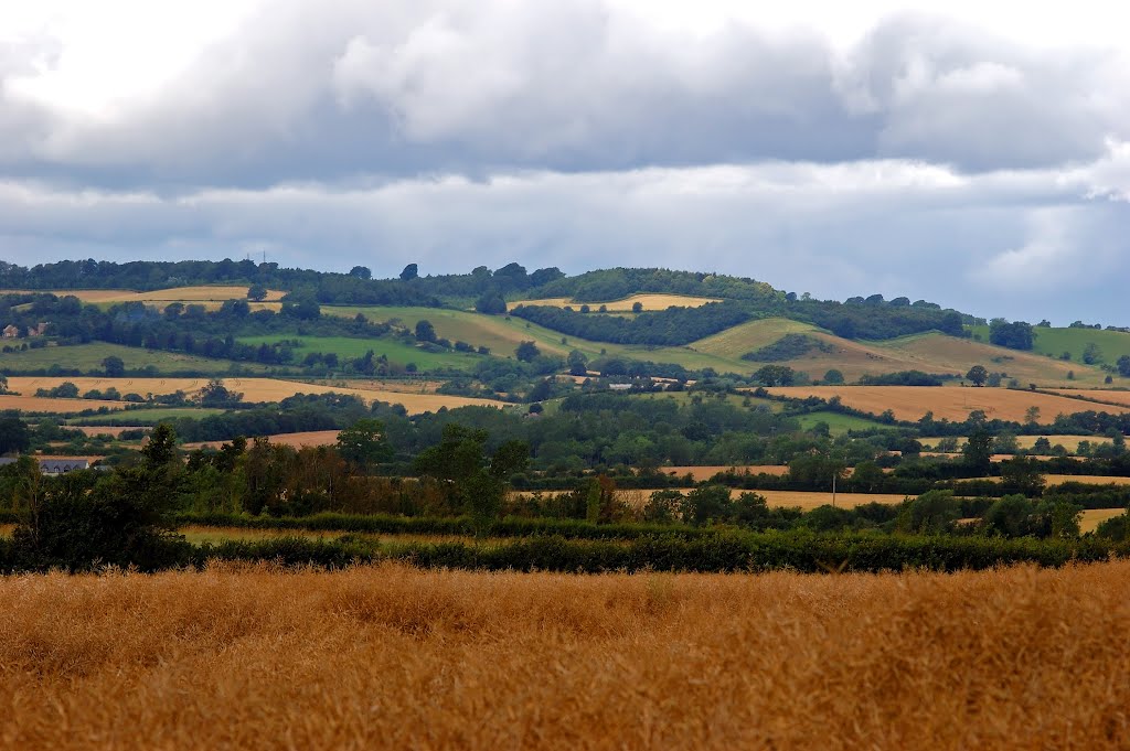 View from Hanson hill near Shipston on Stour looking towards the hills near Ilmington.Warwickshire Gloucesershire border. by Chris Scaysbrook