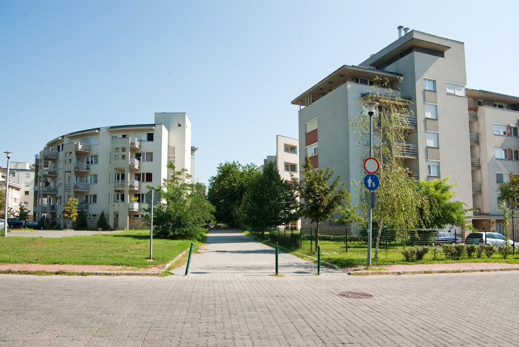 Megyeri úti új építésű házak, 2012/08/02 by hatja-budapest