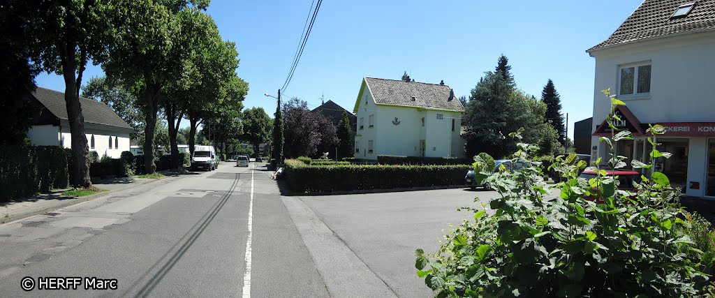 Raeren: Wandern von Eynatten ueber den Johberg, Koepfchen und Lichtenbusch - Grenze zwischen Deutschland und Belgien (Links + Straße Deutsch - Rechts Belgisch) by Wandern in Ostbelgien