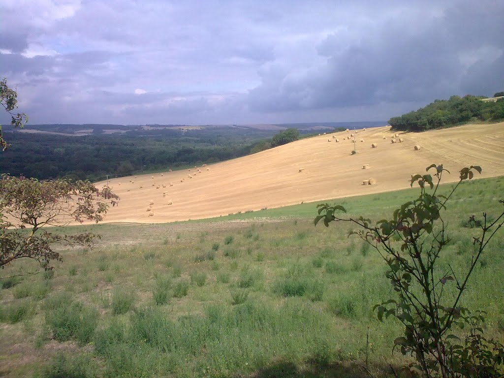 Campagne en juillet à pourrain (89) by petitfils72