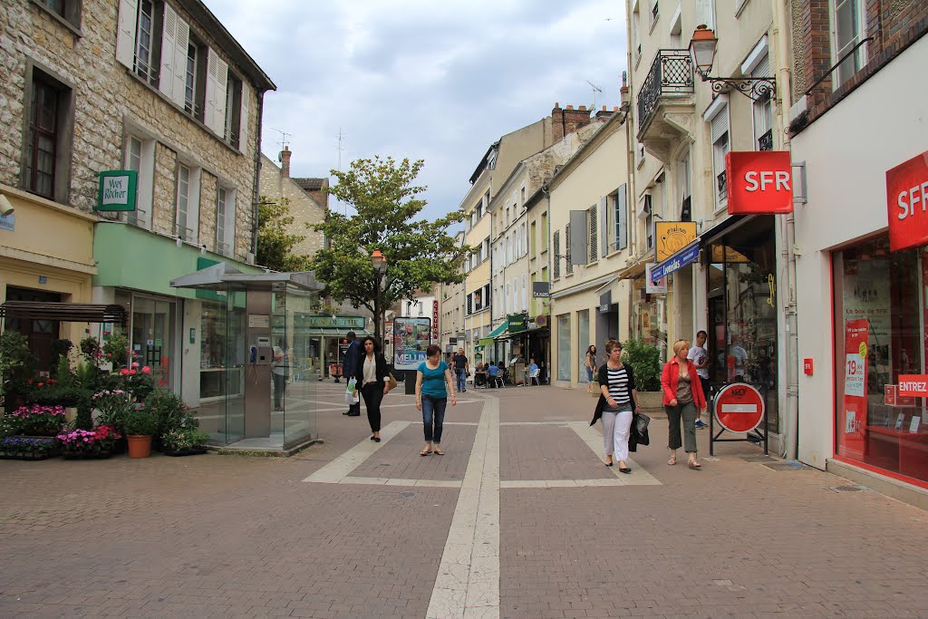 Rue René Pouteau (Melun) by gerard VERITE