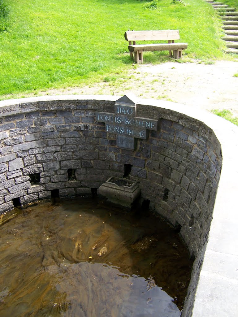 Source de la Somme à Fonsomme by Christophe LACROIX