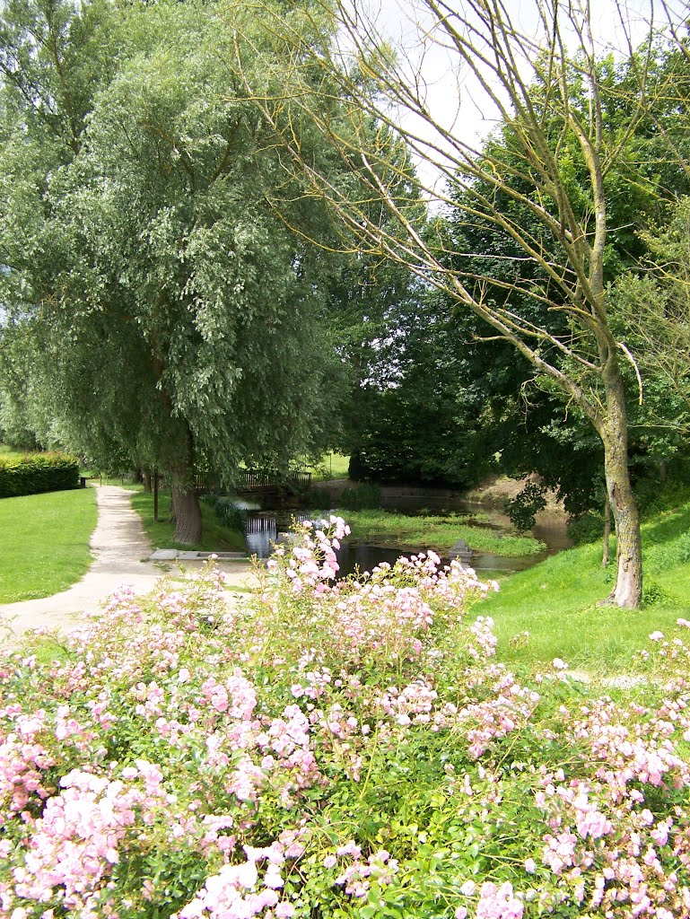 Source de la Somme à Fonsomme by Christophe LACROIX