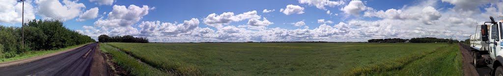 Large Bleu Sky & Endless Green Field by mdmayes