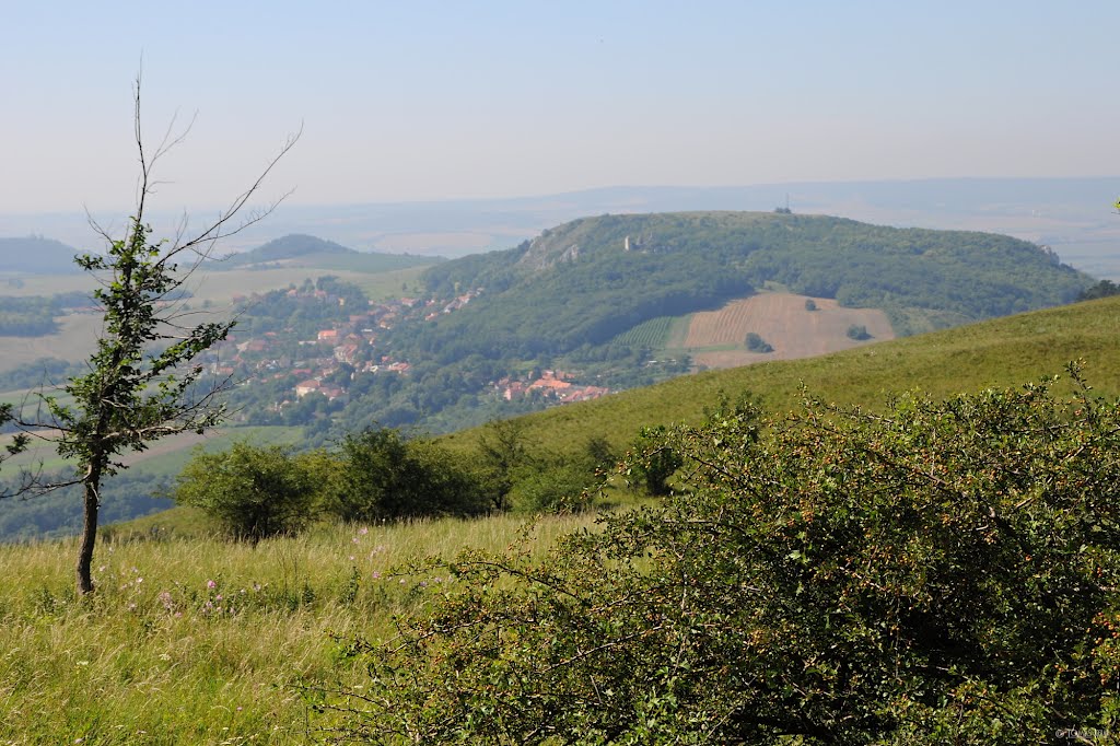 Krajina Pálavy by Tomas Kelar