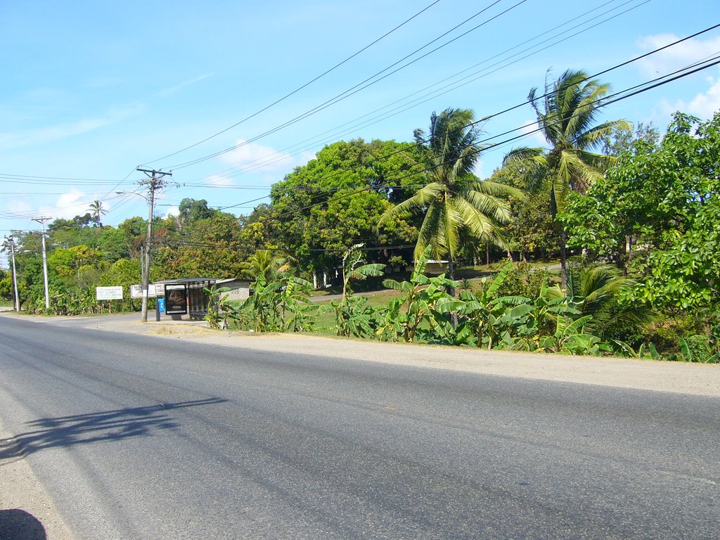 Las Cuevas de Chilibre by A. Robinson