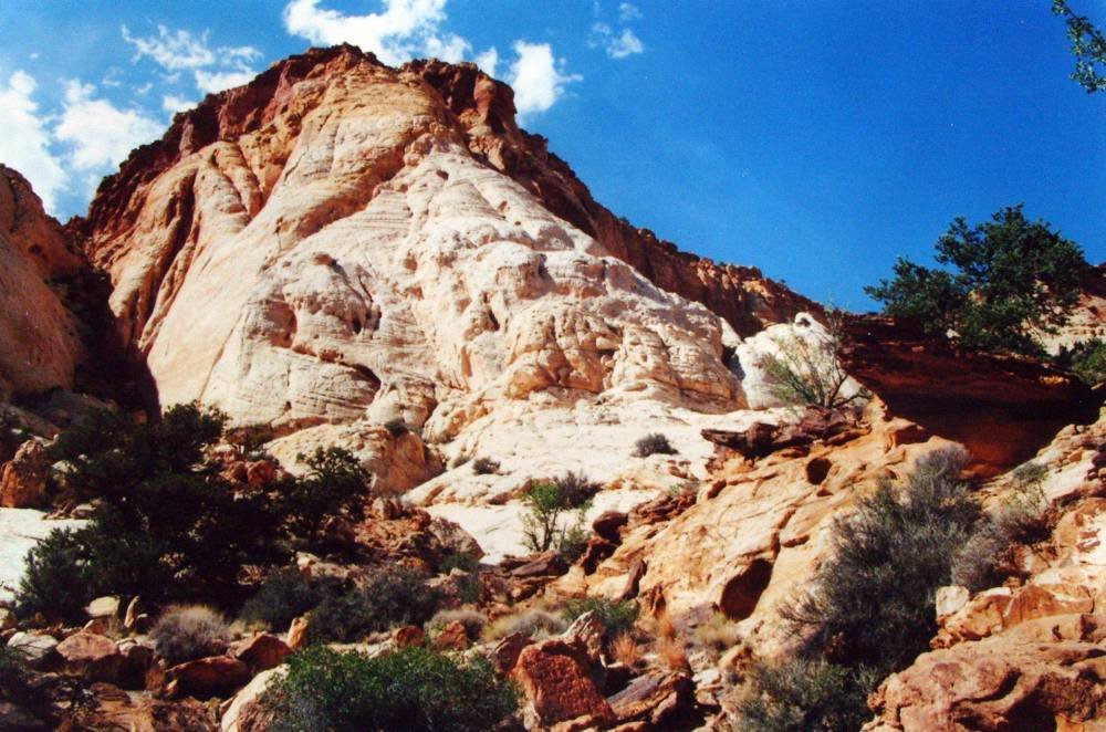 Capitol Reef National Park by Thomas Ritter