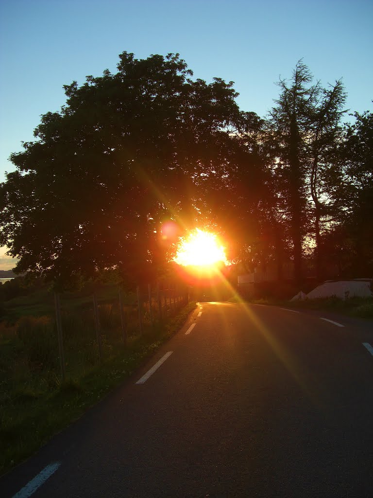 Sunset through the trees with Casio by Mona Lygre