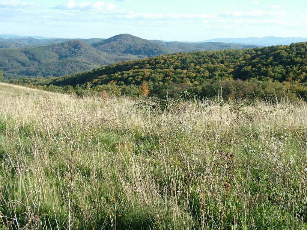 Szilváskőpuszta, panoráma by Kovács Károlyné