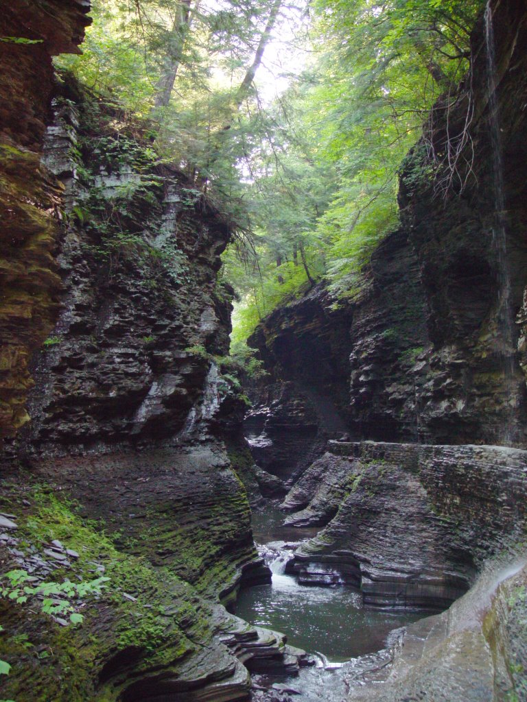 Watkins Glen Gorge, Watkins Glen NY (8-1-2006) by Ken Badgley