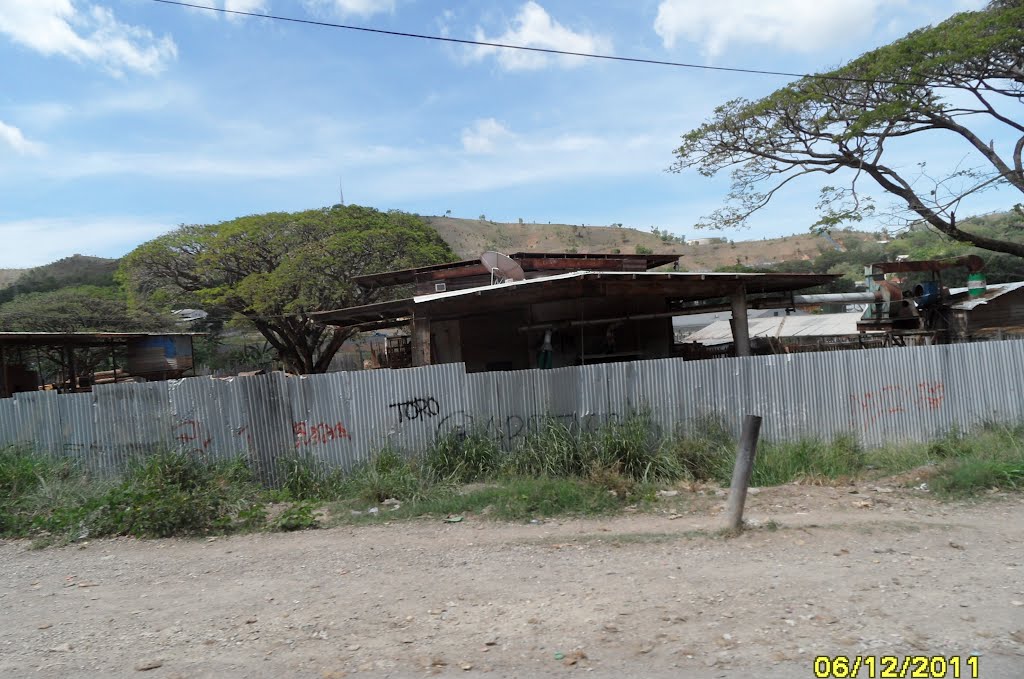 PNG Tropical Hard Timber Ltd, SawMilling and Timber Yard, along Saraga Street in 6 MILE area, Port Moresby, PNG, on 6-12-2011 by Peter John Tate,