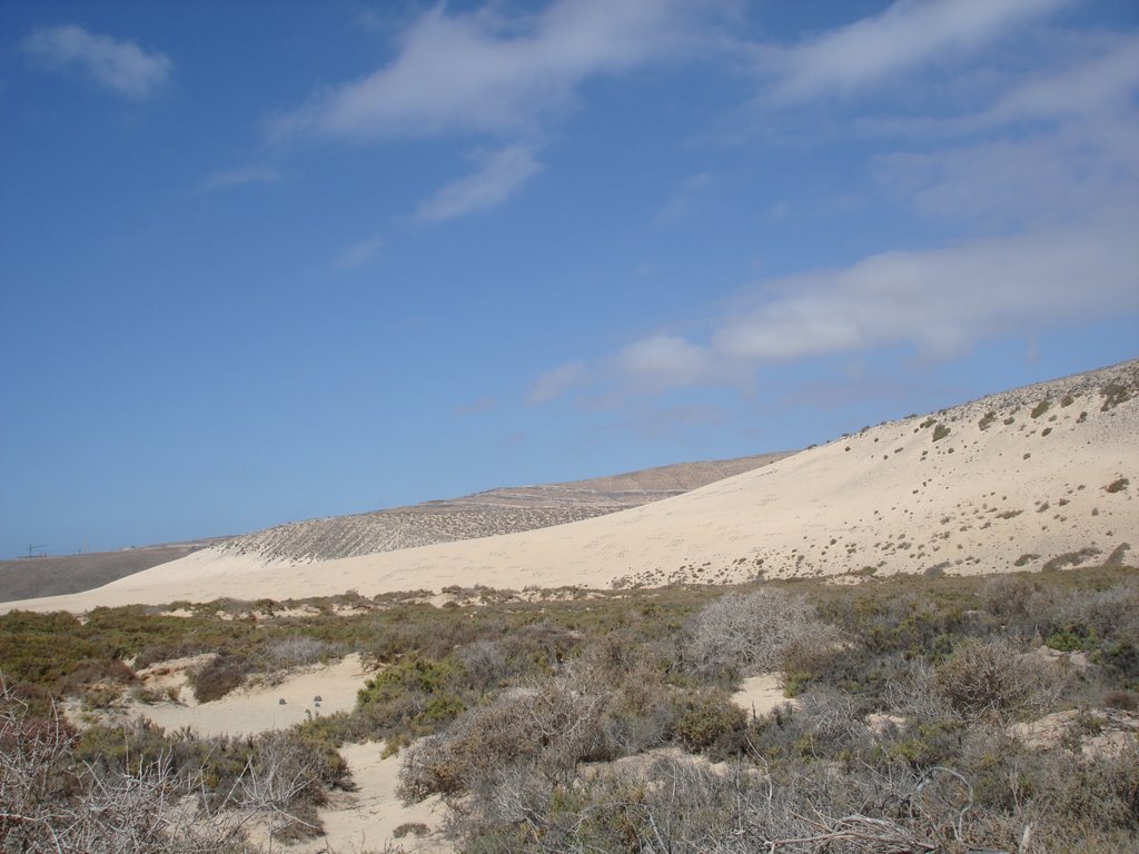 Duna grande a Risco del Paso - penisola di Jandia - Fuerteventura ( Islas Canarias ) by effeelle