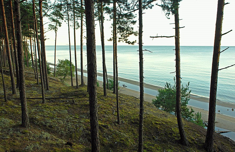 Baltic Sea coast, Courland, Latvia by VonRIX