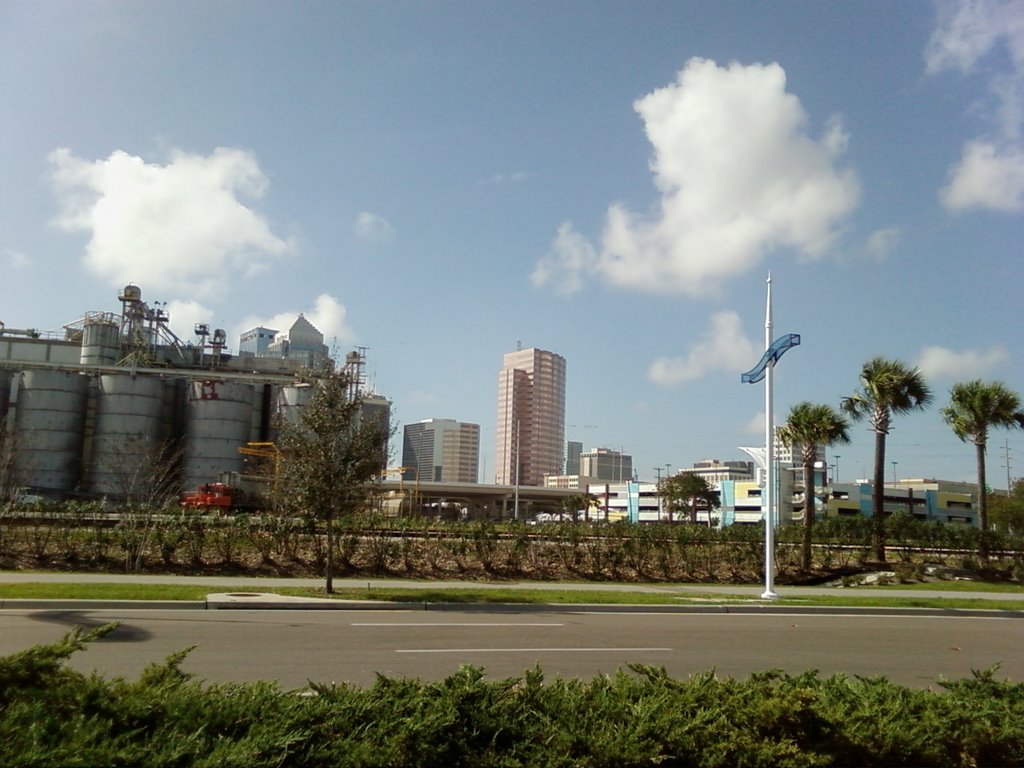 Tampa - Looking W by Joey Bee