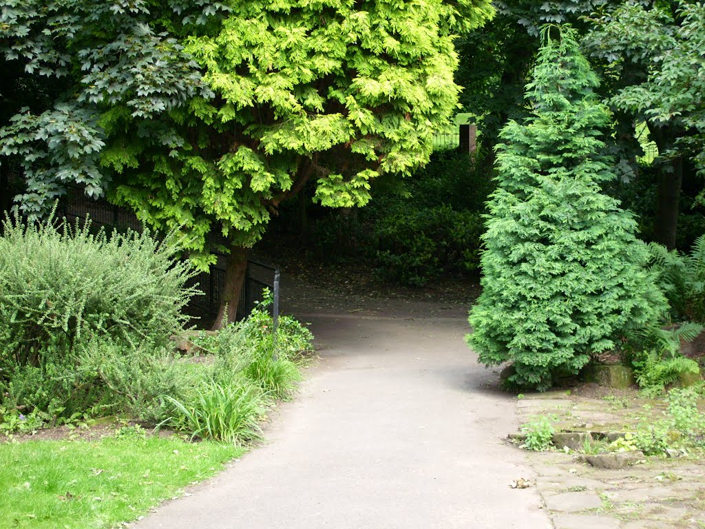 Walsall Arboretum by seventhsea