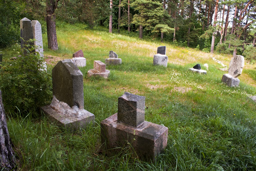 Valdemārpils jewish cemetery at Dzirnavkalns by Laima Gūtmane(simka)