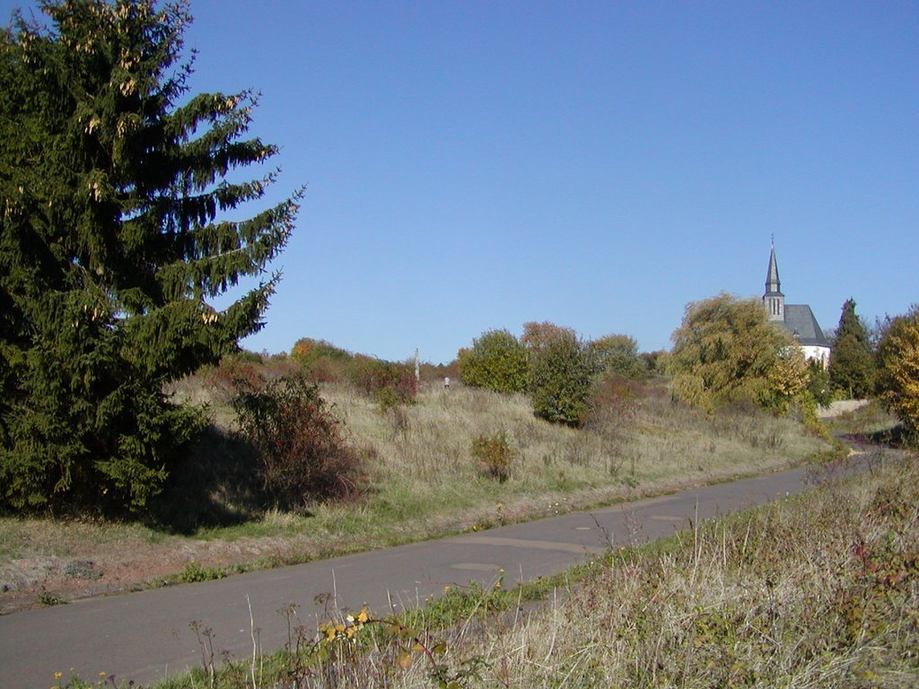 Eckweiler - Kirche von Süden by giggel