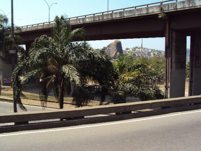 Elevado Engenheiro Freyssenet popularmente conhecido como Elevado da Paulo de Frontin by Orlando de Almeida Calado