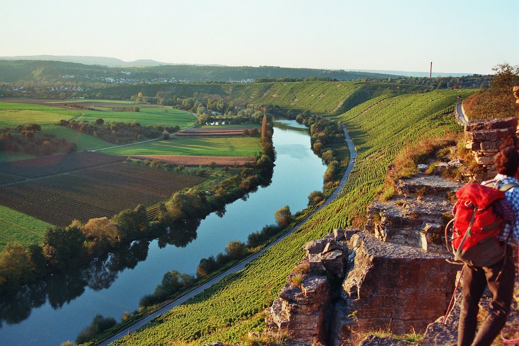 Hessigheimer Felsengärten am Neckar by Armin Menzer