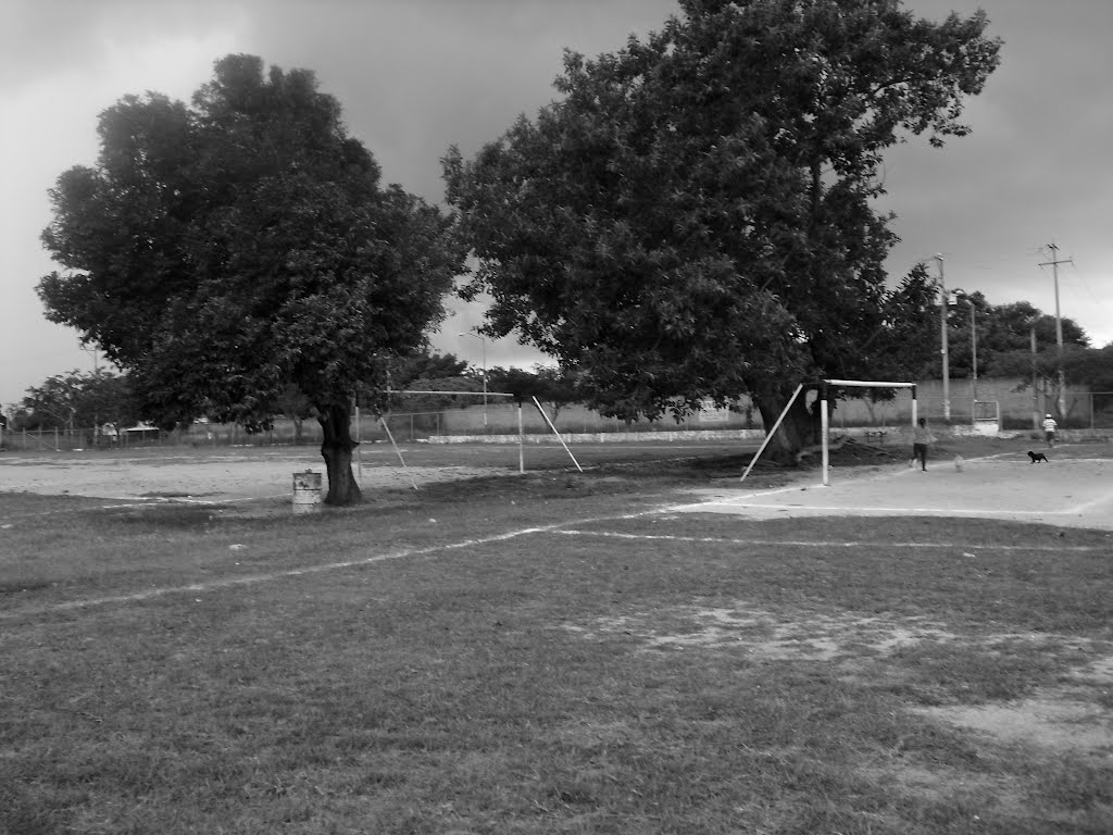 Las canchas de fut by Daniel Garcia Torre