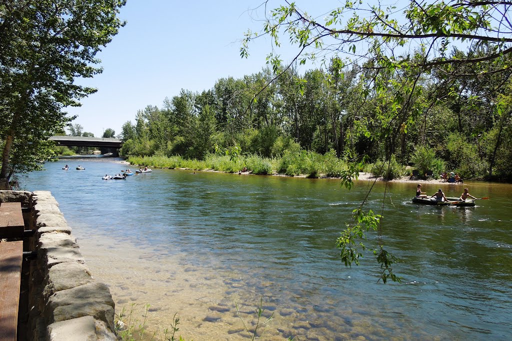 THR BOISE RIVER: Near Parkcenter Blvd. bridge. by KARL F