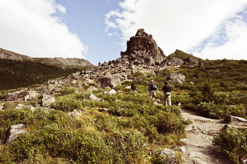 Denali National Park & Preserve by Southpaw