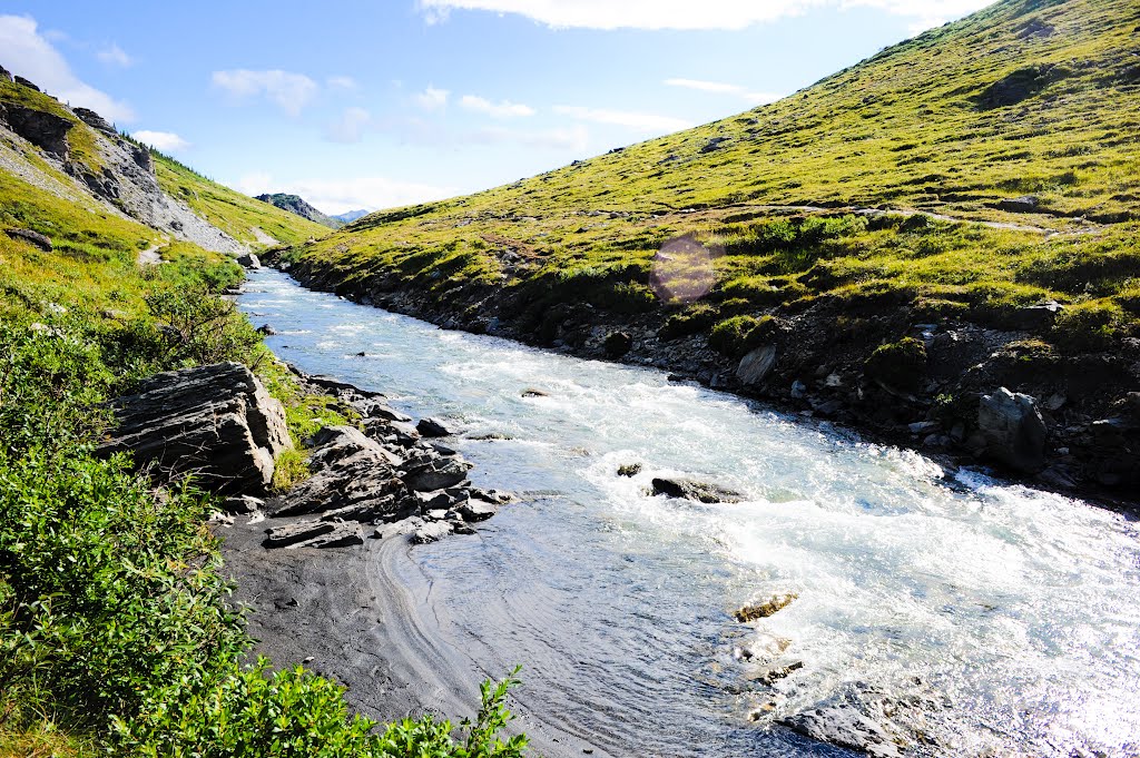 Denali National Park & Preserve by Southpaw