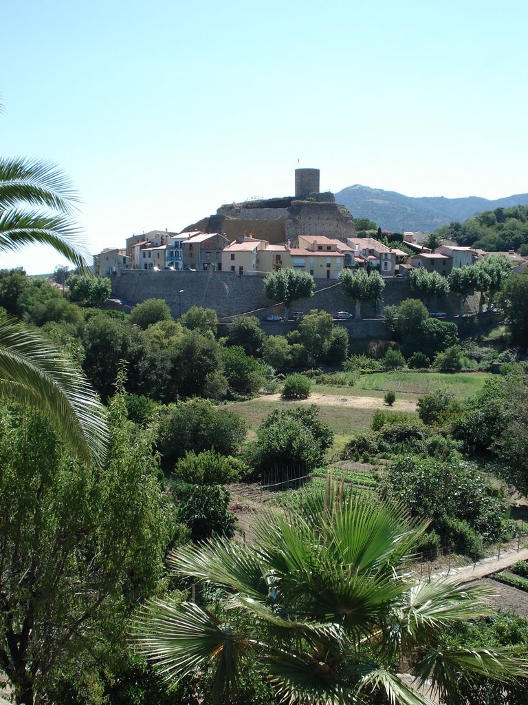 Laroque des Alberes by ijsvogels