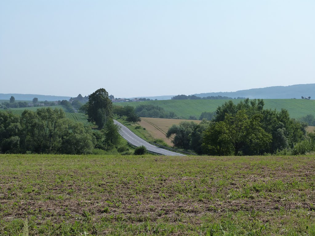 Cesta zo Zborova na Svidník by Pajë22