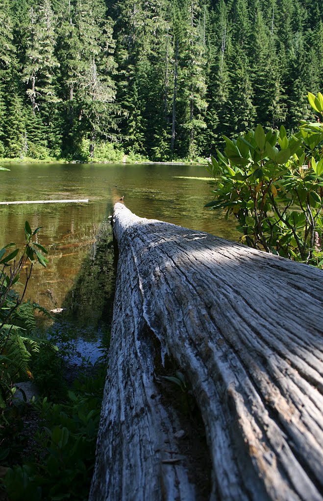 Crawfish Lake by WyinOregon